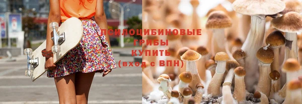 стаф Ладушкин