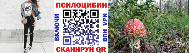 Псилоцибиновые грибы Psilocybe  Мещовск 